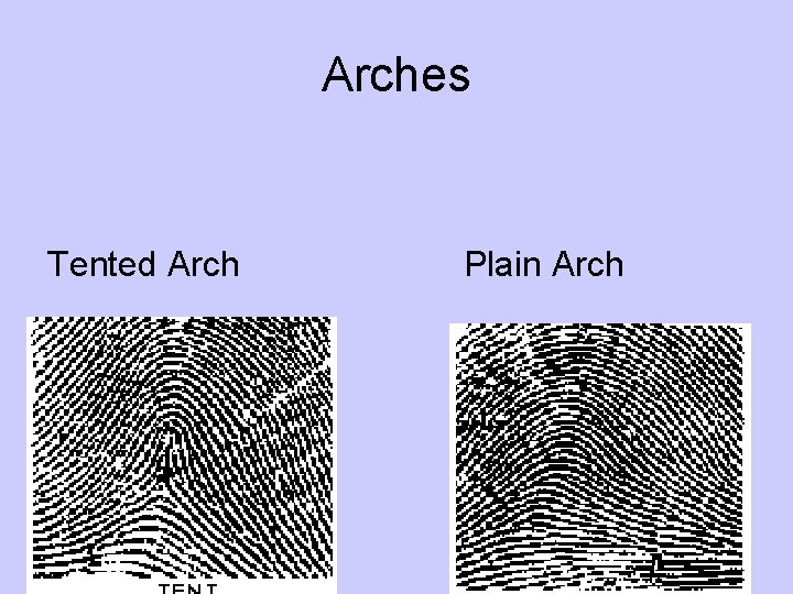 Arches Tented Arch Plain Arch 