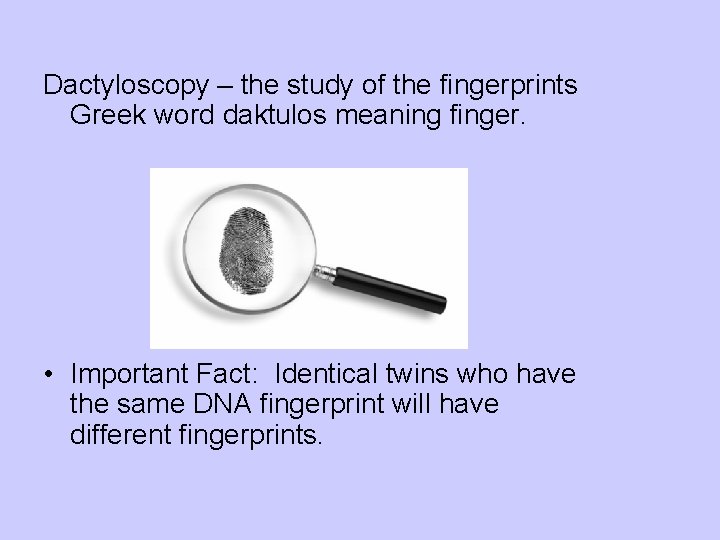 Dactyloscopy – the study of the fingerprints Greek word daktulos meaning finger. • Important