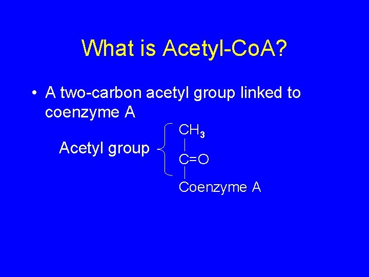 What is Acetyl-Co. A? • A two-carbon acetyl group linked to coenzyme A Acetyl