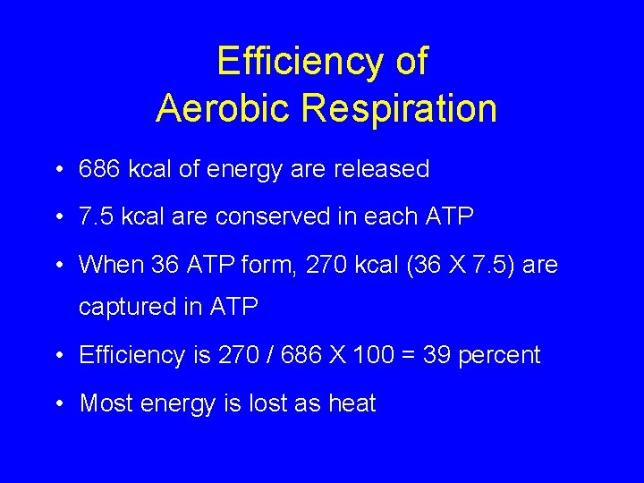 Efficiency of Aerobic Respiration • 686 kcal of energy are released • 7. 5