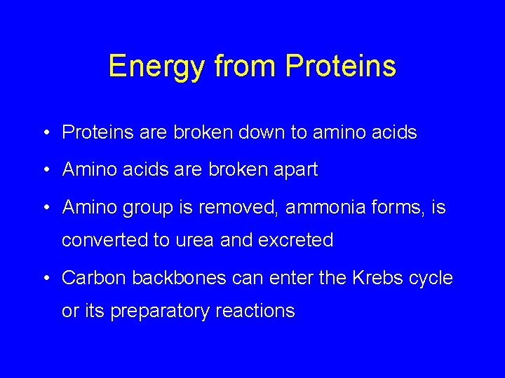 Energy from Proteins • Proteins are broken down to amino acids • Amino acids