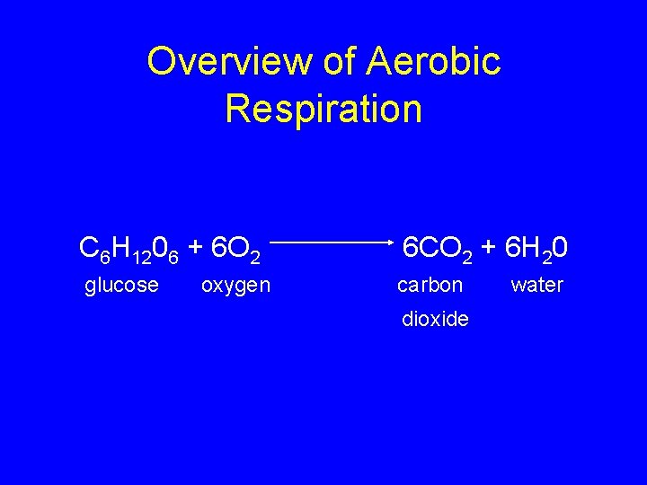 Overview of Aerobic Respiration C 6 H 1206 + 6 O 2 6 CO