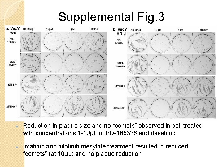 Supplemental Fig. 3 Reduction in plaque size and no “comets” observed in cell treated