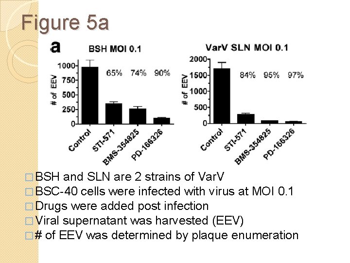 Figure 5 a � BSH and SLN are 2 strains of Var. V �