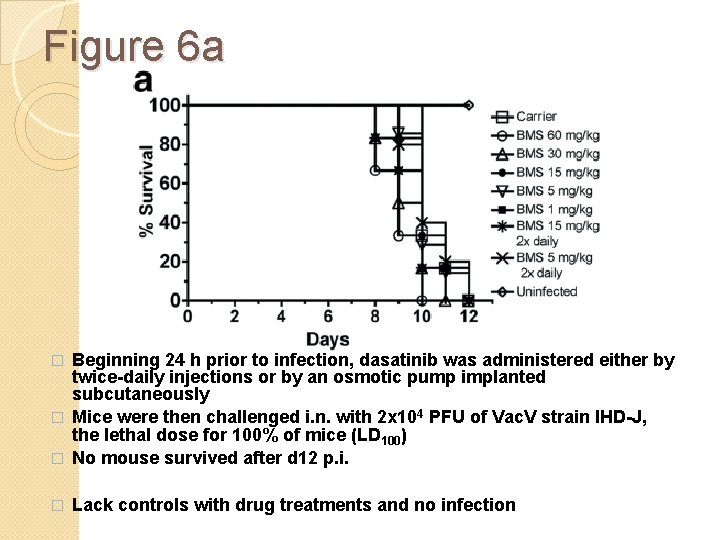 Figure 6 a Beginning 24 h prior to infection, dasatinib was administered either by