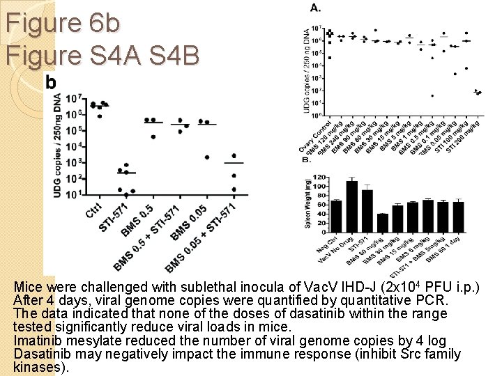 Figure 6 b Figure S 4 A S 4 B Mice were challenged with