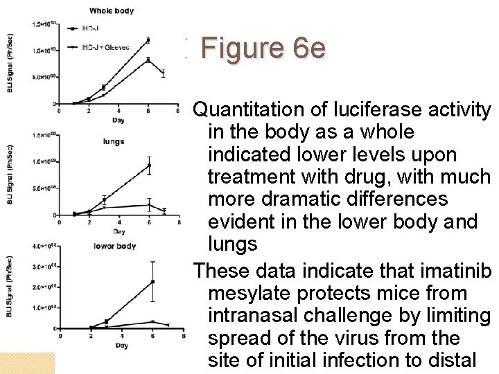 Figure 6 e Quantitation of luciferase activity in the body as a whole indicated