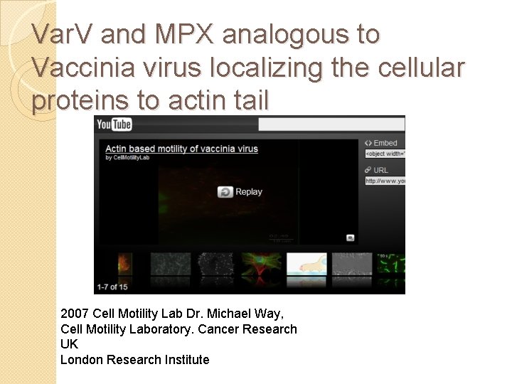 Var. V and MPX analogous to Vaccinia virus localizing the cellular proteins to actin