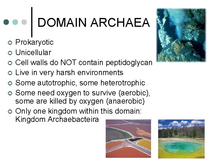 DOMAIN ARCHAEA ¢ ¢ ¢ ¢ Prokaryotic Unicellular Cell walls do NOT contain peptidoglycan DOMAIN ARCHAEA ¢ ¢ ¢ ¢ Prokaryotic Unicellular Cell walls do NOT contain peptidoglycan