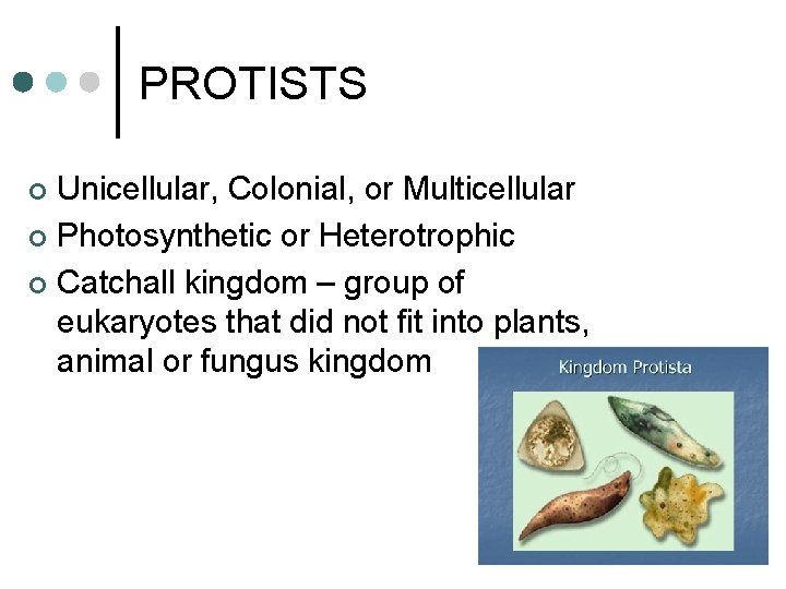 PROTISTS Unicellular, Colonial, or Multicellular ¢ Photosynthetic or Heterotrophic ¢ Catchall kingdom – group PROTISTS Unicellular, Colonial, or Multicellular ¢ Photosynthetic or Heterotrophic ¢ Catchall kingdom – group