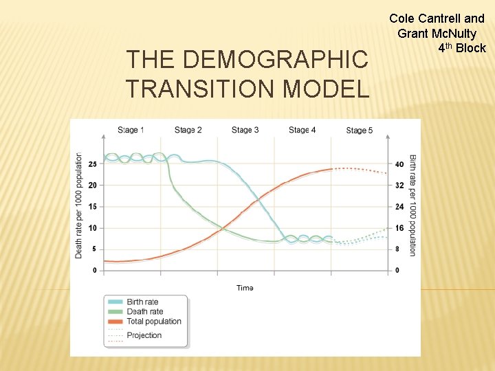 THE DEMOGRAPHIC TRANSITION MODEL Cole Cantrell and Grant Mc. Nulty 4 th Block 