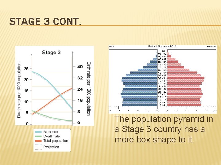 STAGE 3 CONT. The population pyramid in a Stage 3 country has a more