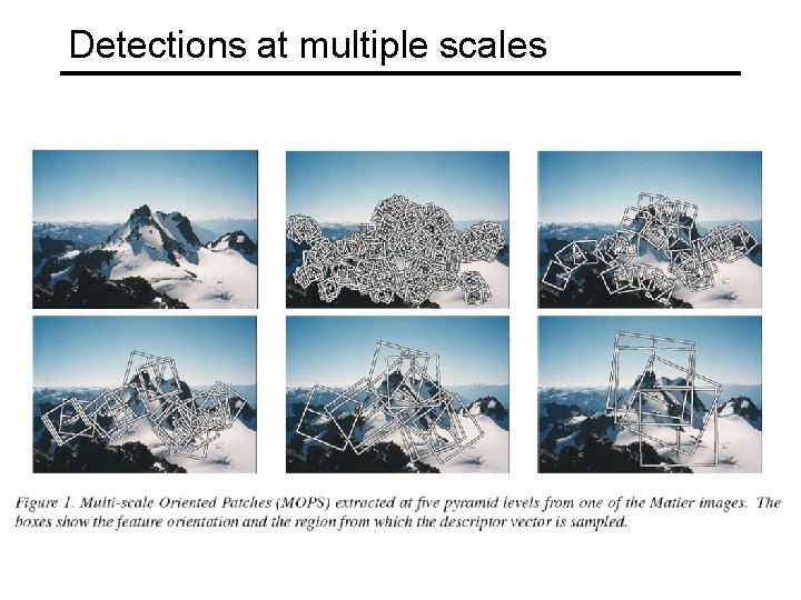 Detections at multiple scales 