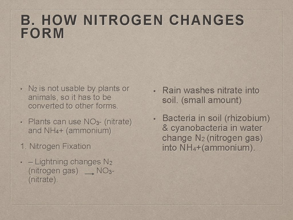 B. HOW NITROGEN CHANGES FORM • N 2 is not usable by plants or