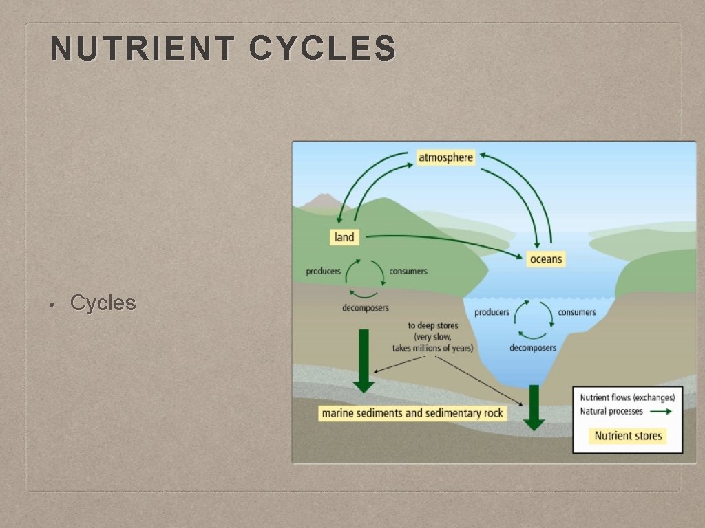 NUTRIENT CYCLES • Cycles 