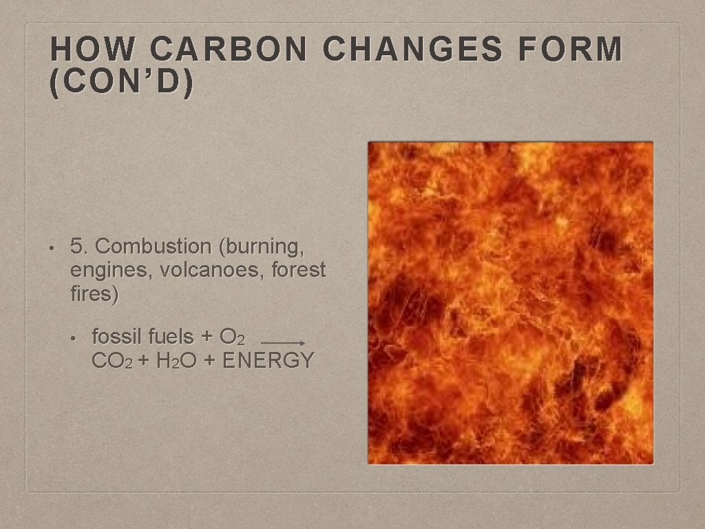 HOW CARBON CHANGES FORM (CON’D) • 5. Combustion (burning, engines, volcanoes, forest fires) •