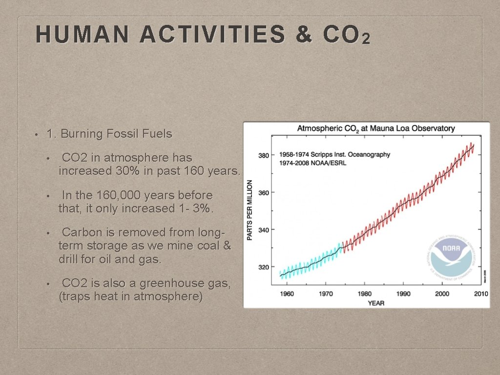 HUMAN ACTIVITIES & CO 2 • 1. Burning Fossil Fuels • CO 2 in