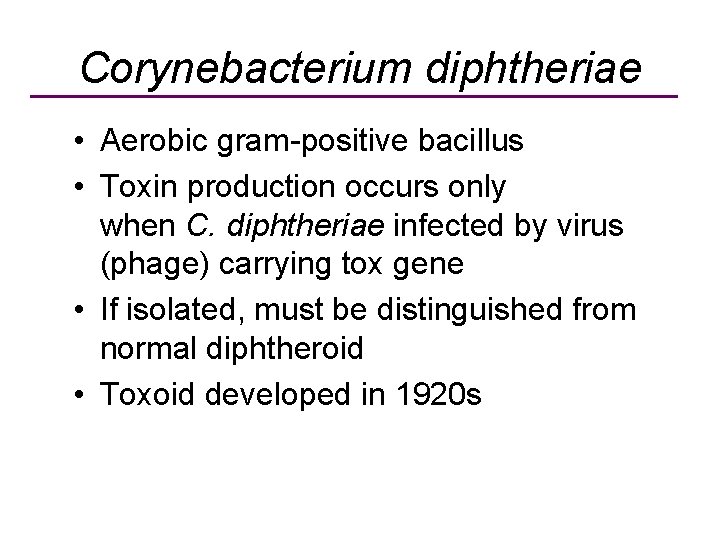 Corynebacterium diphtheriae • Aerobic gram-positive bacillus • Toxin production occurs only when C. diphtheriae