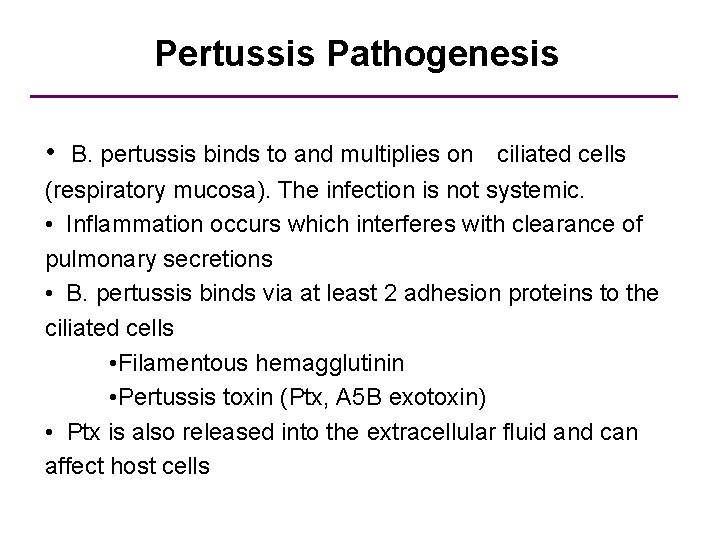 Pertussis Pathogenesis • B. pertussis binds to and multiplies on ciliated cells (respiratory mucosa).