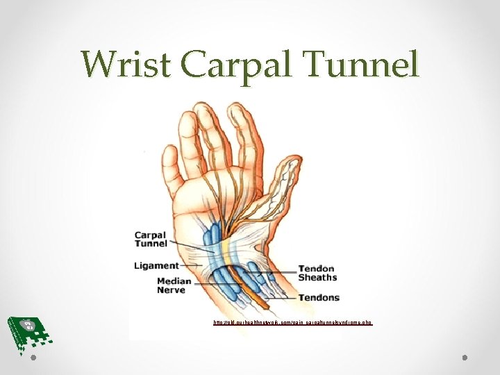 Wrist Carpal Tunnel http: //old. ourhealthnetwork. com/pain_carpaltunnelsyndrome. php 