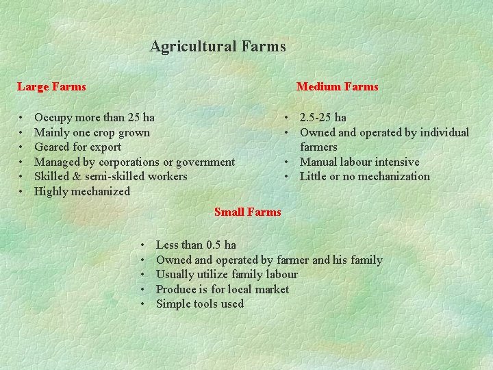 Agricultural Farms Large Farms • • • Medium Farms Occupy more than 25 ha