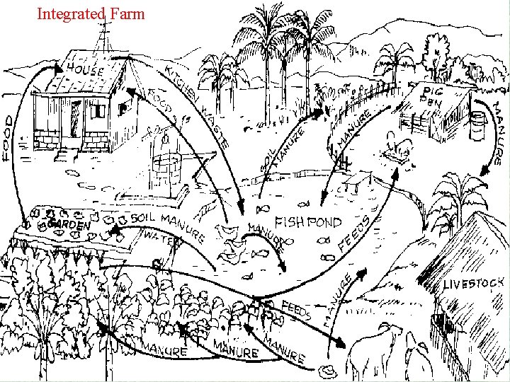 Integrated Farm 
