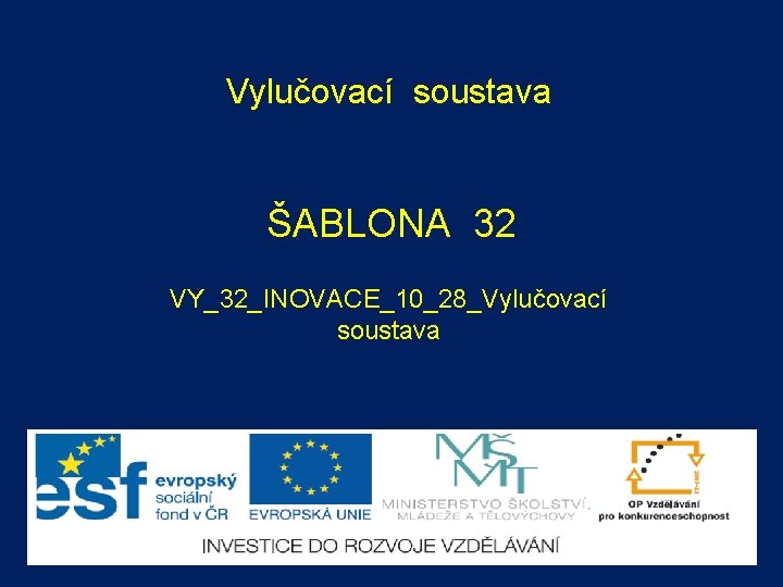 Vylučovací soustava ŠABLONA 32 VY_32_INOVACE_10_28_Vylučovací soustava 