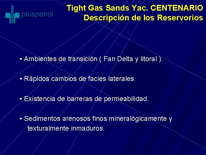 Tight Gas Sands Yac. CENTENARIO Descripción de los Reservorios • Ambientes de transición (
