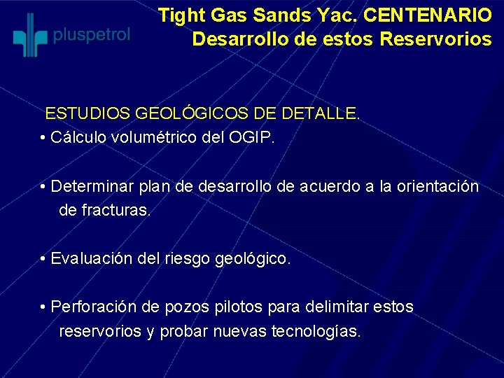 Tight Gas Sands Yac. CENTENARIO Desarrollo de estos Reservorios ESTUDIOS GEOLÓGICOS DE DETALLE. •