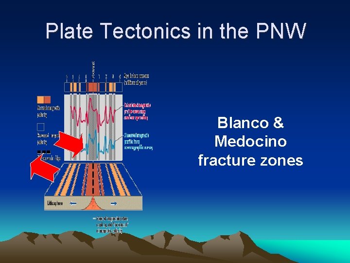 Plate Tectonics in the PNW Blanco & Medocino fracture zones 