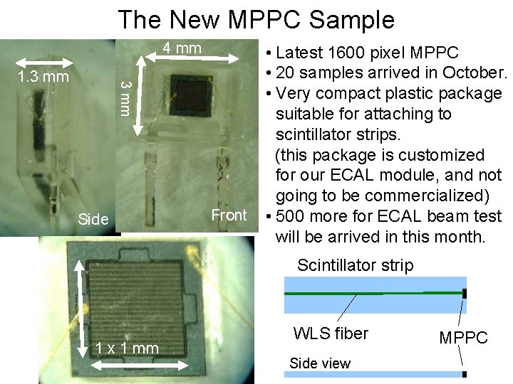 The New MPPC Sample 4 mm 3 mm 1. 3 mm Side Front •