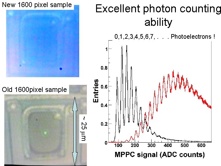 New 1600 pixel sample Excellent photon counting ability 0, 1, 2, 3, 4, 5,