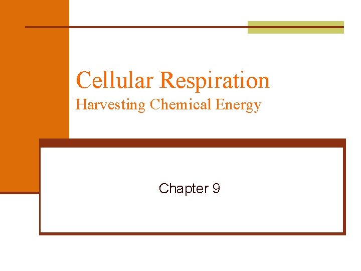 Cellular Respiration Harvesting Chemical Energy Chapter 9 