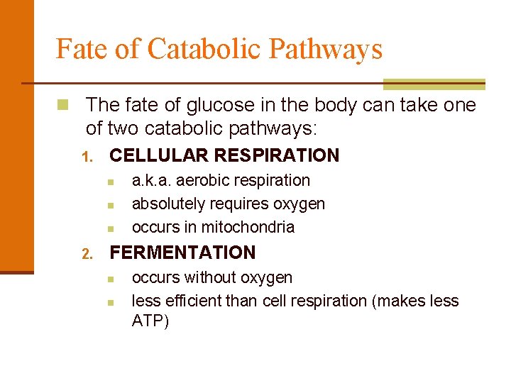 Fate of Catabolic Pathways n The fate of glucose in the body can take