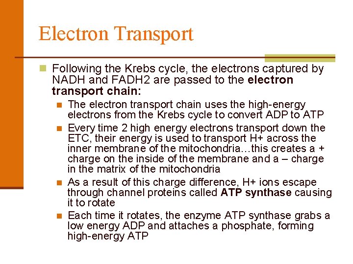 Electron Transport n Following the Krebs cycle, the electrons captured by NADH and FADH