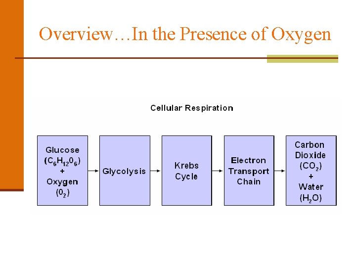 Overview…In the Presence of Oxygen 