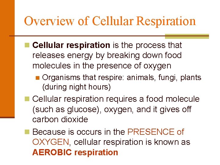 Overview of Cellular Respiration n Cellular respiration is the process that releases energy by