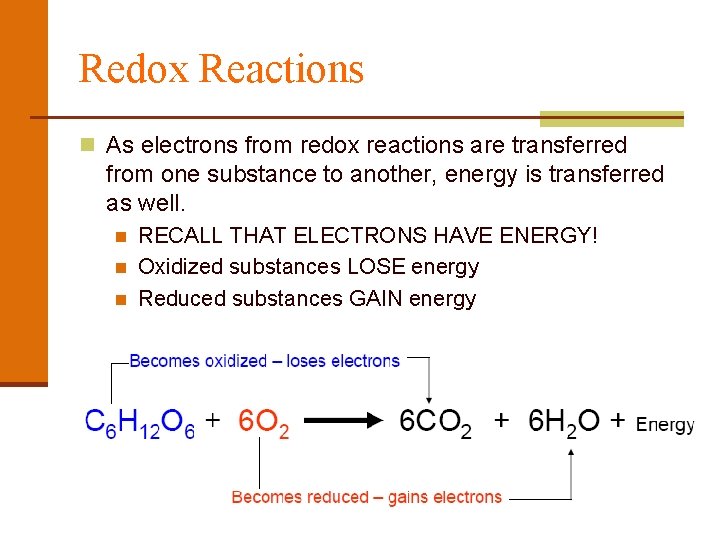 Redox Reactions n As electrons from redox reactions are transferred from one substance to