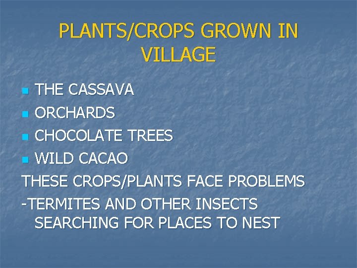 PLANTS/CROPS GROWN IN VILLAGE THE CASSAVA n ORCHARDS n CHOCOLATE TREES n WILD CACAO