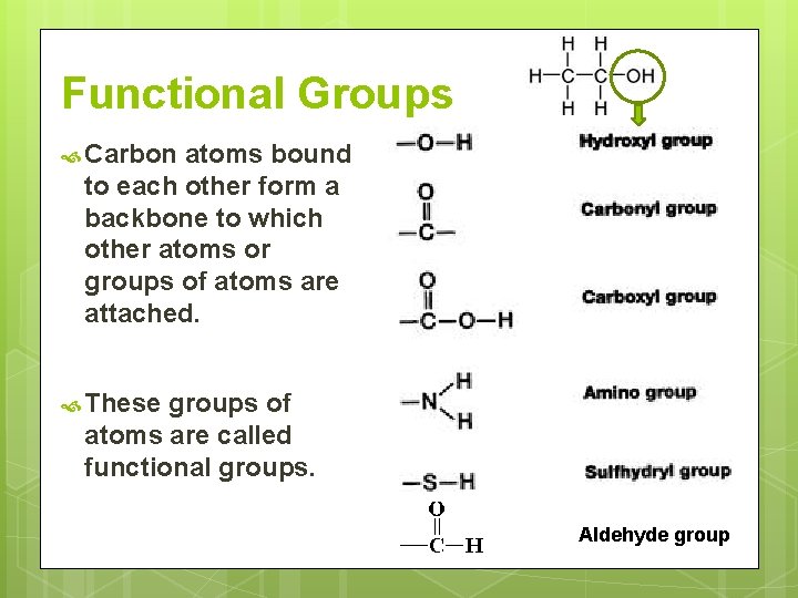 Functional Groups Carbon atoms bound to each other form a backbone to which other