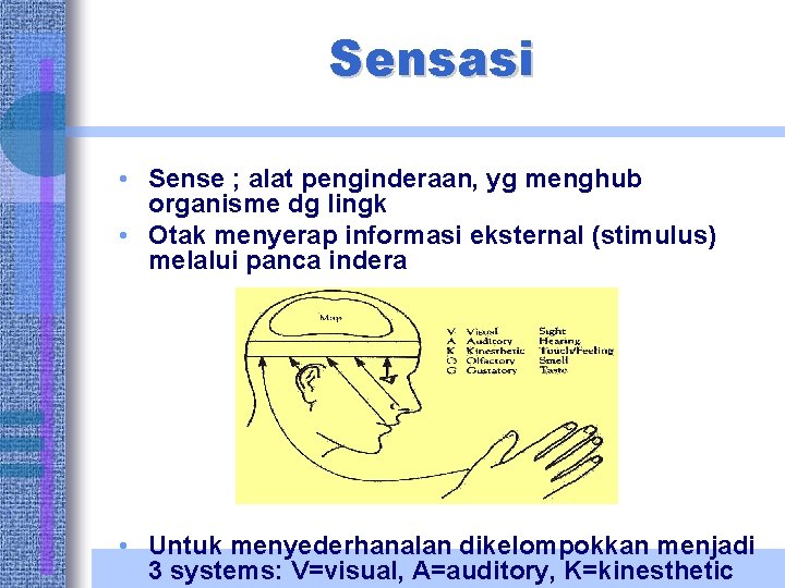 Sensasi • Sense ; alat penginderaan, yg menghub organisme dg lingk • Otak menyerap