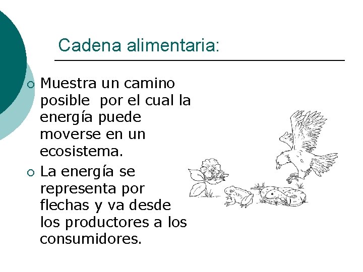 Cadena alimentaria: ¡ ¡ Muestra un camino posible por el cual la energía puede