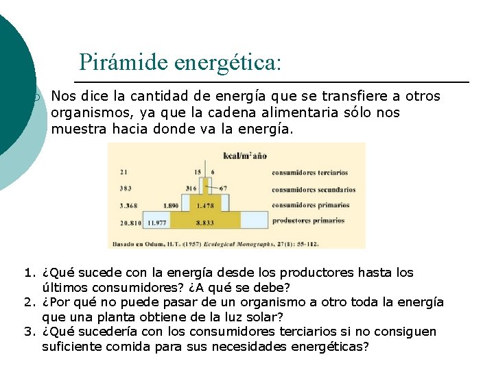 Pirámide energética: ¡ Nos dice la cantidad de energía que se transfiere a otros