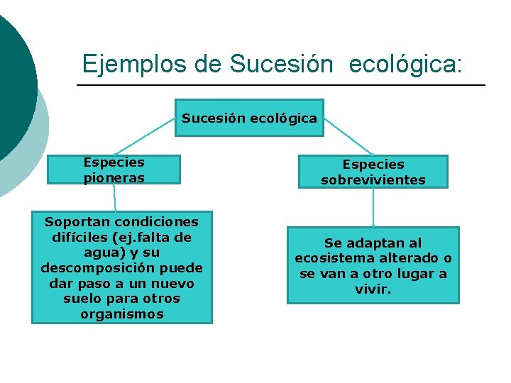 Ejemplos de Sucesión ecológica: Sucesión ecológica Especies pioneras Soportan condiciones difíciles (ej. falta de