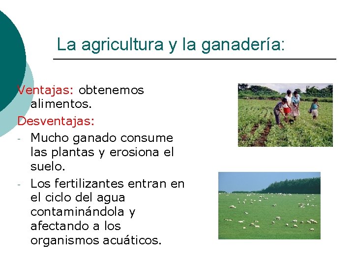 La agricultura y la ganadería: Ventajas: obtenemos alimentos. Desventajas: - Mucho ganado consume las