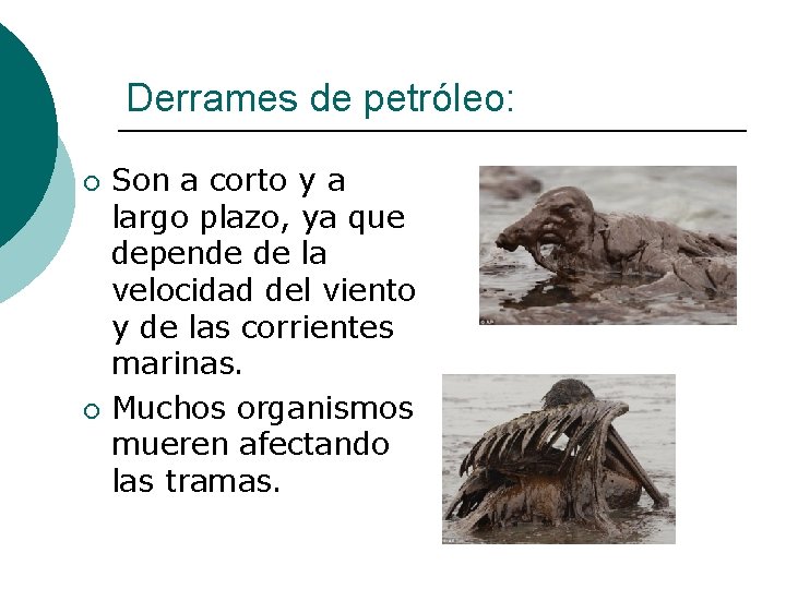 Derrames de petróleo: ¡ ¡ Son a corto y a largo plazo, ya que