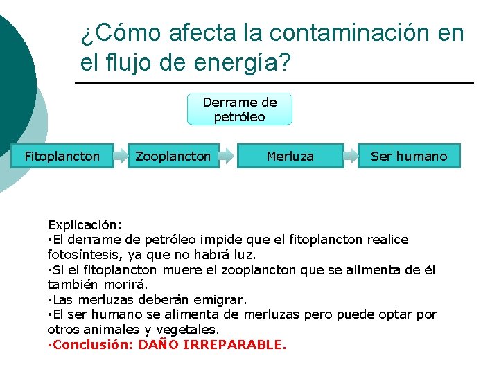 ¿Cómo afecta la contaminación en el flujo de energía? Derrame de petróleo Fitoplancton Zooplancton