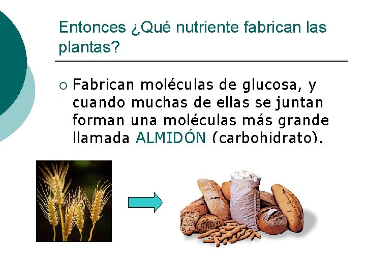 Entonces ¿Qué nutriente fabrican las plantas? ¡ Fabrican moléculas de glucosa, y cuando muchas