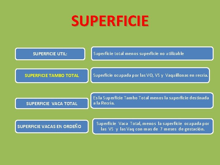 SUPERFICIE UTIL: Superficie total menos superficie no utilizable SUPERFICIE TAMBO TOTAL Superficie ocupada por