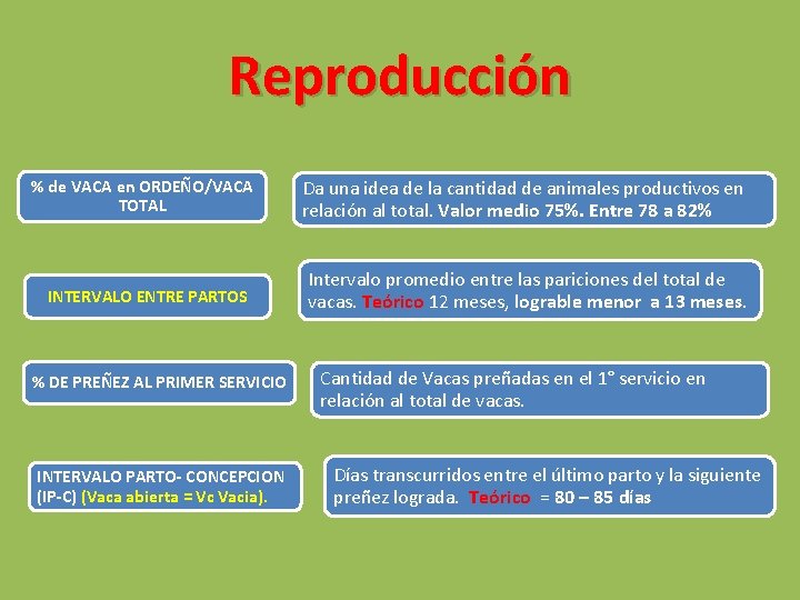 Reproducción % de VACA en ORDEÑO/VACA TOTAL Da una idea de la cantidad de